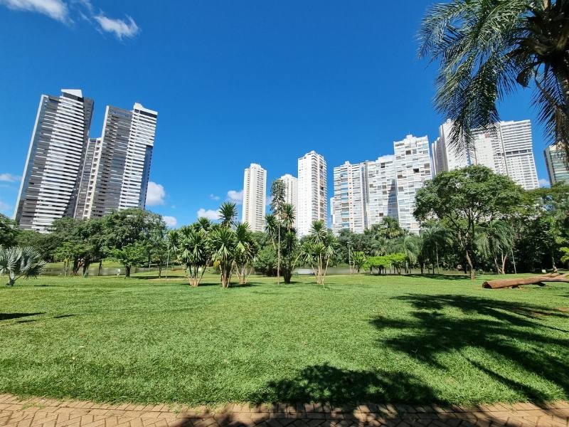 Goiânia - GO